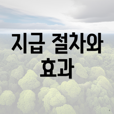 지급 절차와 효과