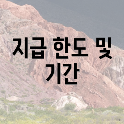 지급 한도 및 기간