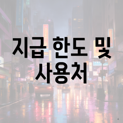 지급 한도 및 사용처