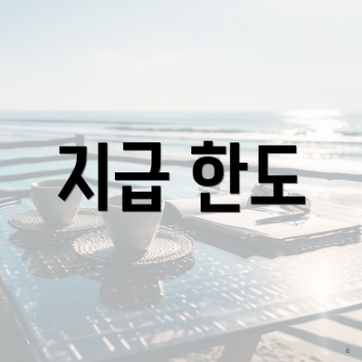 지급 한도