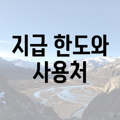 지급 한도와 사용처