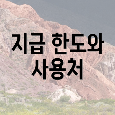 지급 한도와 사용처