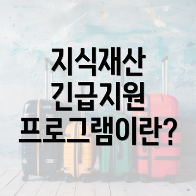 지식재산 긴급지원 프로그램이란?