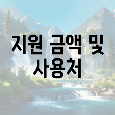 지원 금액 및 사용처