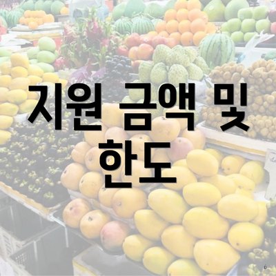 지원 금액 및 한도