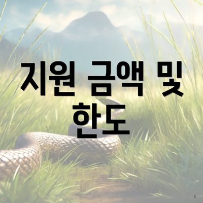 지원 금액 및 한도