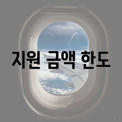 지원 금액 한도