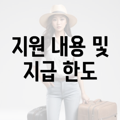 지원 내용 및 지급 한도