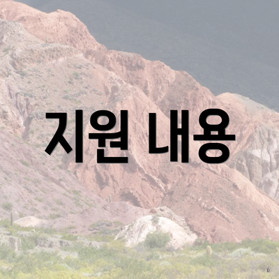 지원 내용