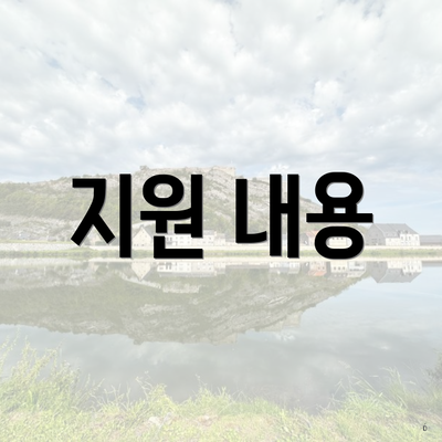 지원 내용