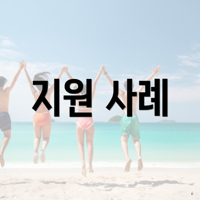 지원 사례