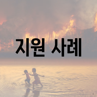 지원 사례