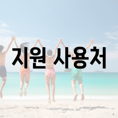 지원 사용처