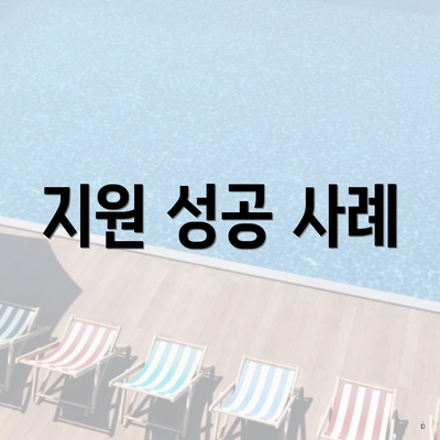 지원 성공 사례