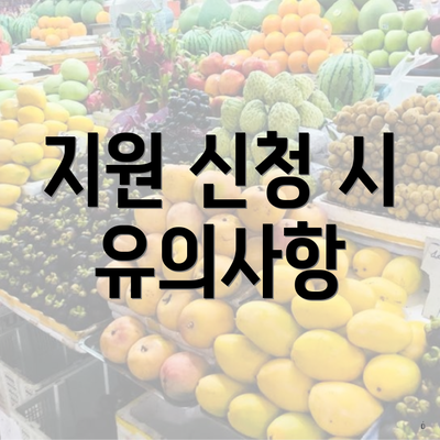 지원 신청 시 유의사항