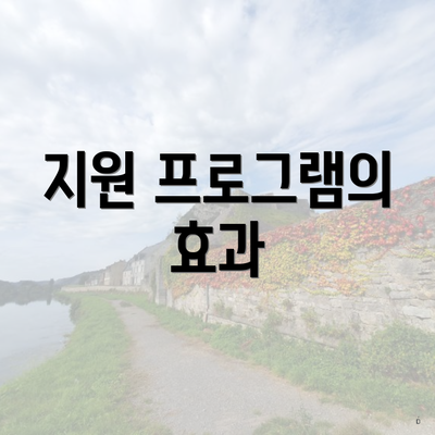 지원 프로그램의 효과