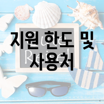 지원 한도 및 사용처