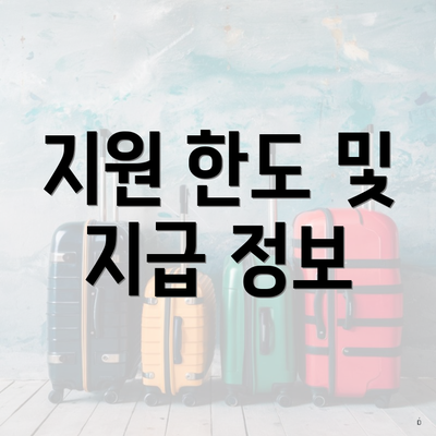 지원 한도 및 지급 정보