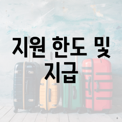 지원 한도 및 지급
