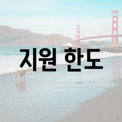 지원 한도