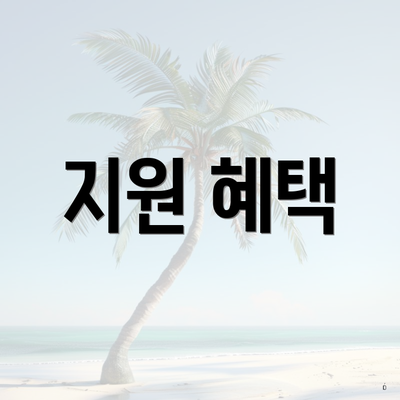 지원 혜택