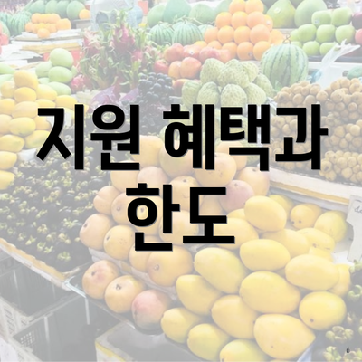 지원 혜택과 한도