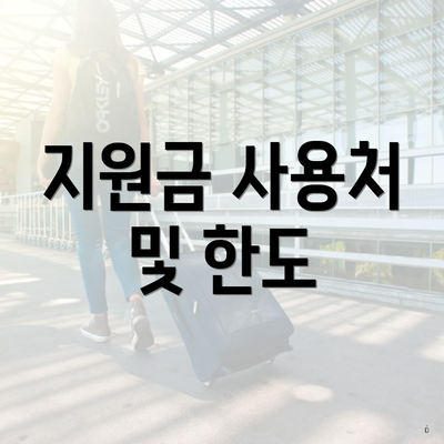 지원금 사용처 및 한도