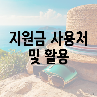 지원금 사용처 및 활용
