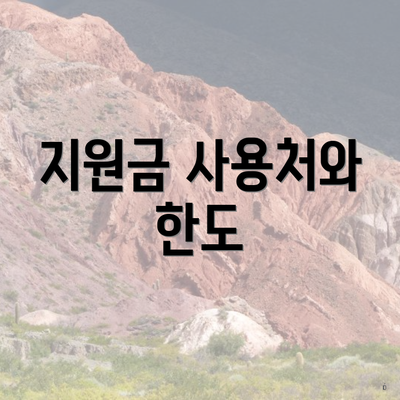 지원금 사용처와 한도