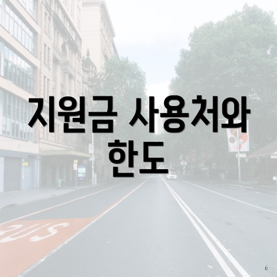 지원금 사용처와 한도