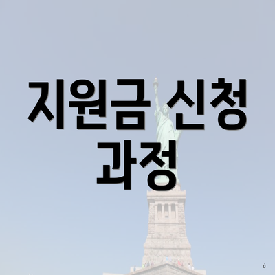 지원금 신청 과정