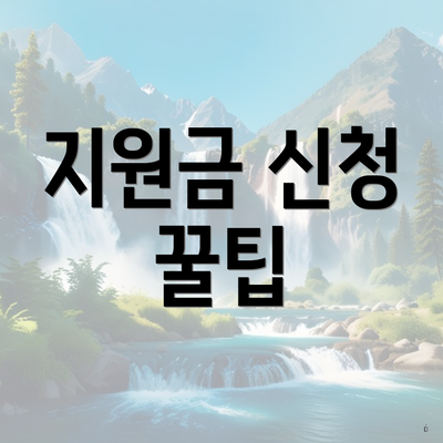 지원금 신청 꿀팁