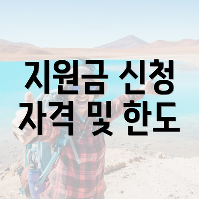 지원금 신청 자격 및 한도