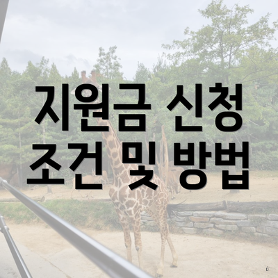 지원금 신청 조건 및 방법
