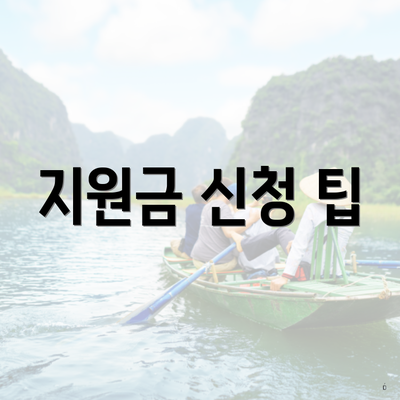 지원금 신청 팁