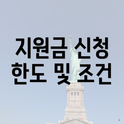 지원금 신청 한도 및 조건