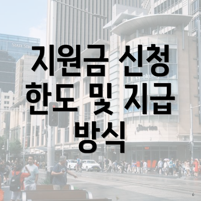지원금 신청 한도 및 지급 방식