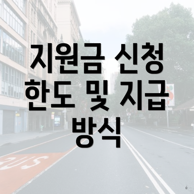 지원금 신청 한도 및 지급 방식