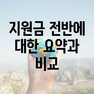 지원금 전반에 대한 요약과 비교