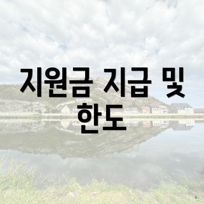 지원금 지급 및 한도