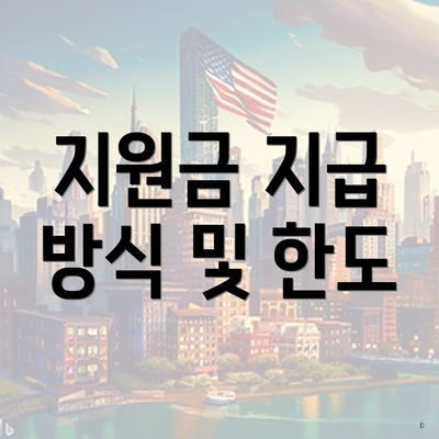 지원금 지급 방식 및 한도