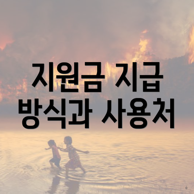 지원금 지급 방식과 사용처