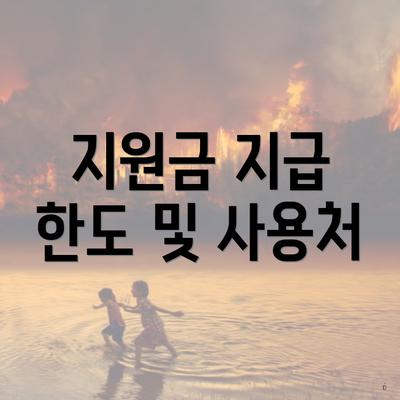 지원금 지급 한도 및 사용처