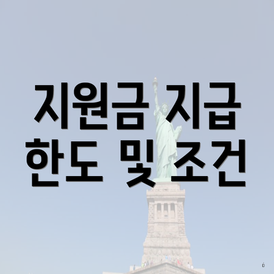 지원금 지급 한도 및 조건