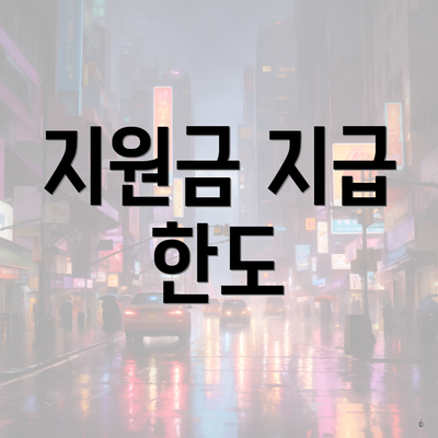 지원금 지급 한도