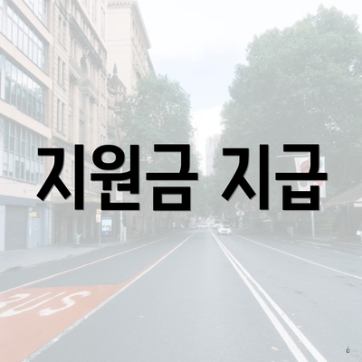 지원금 지급