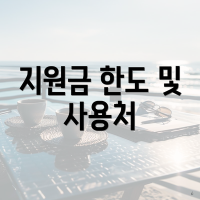 지원금 한도 및 사용처
