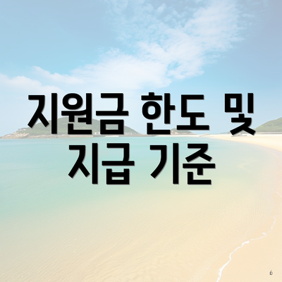 지원금 한도 및 지급 기준