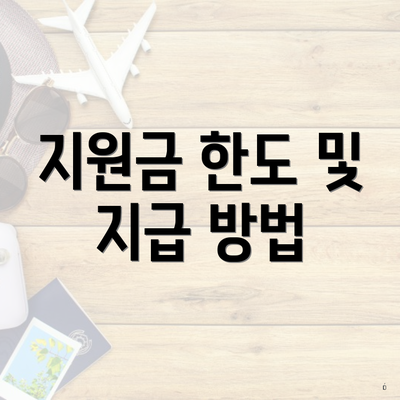 지원금 한도 및 지급 방법