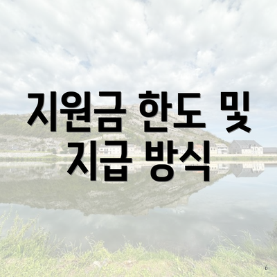 지원금 한도 및 지급 방식